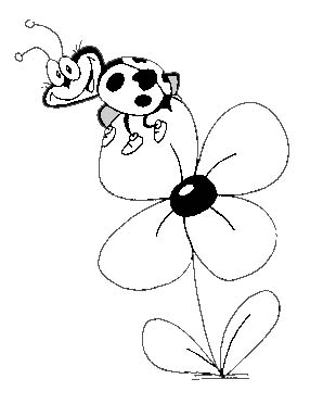 Mi Ranita: chinitas y mariposas.....