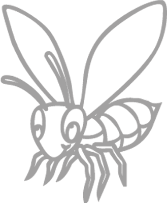 Dibujos de animales que vuelan para colorear - Imagui