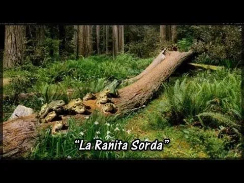 La Ranita Sorda..."Cuentos Espirituales" - YouTube