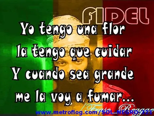 Rastafari reggae frases - Imagui