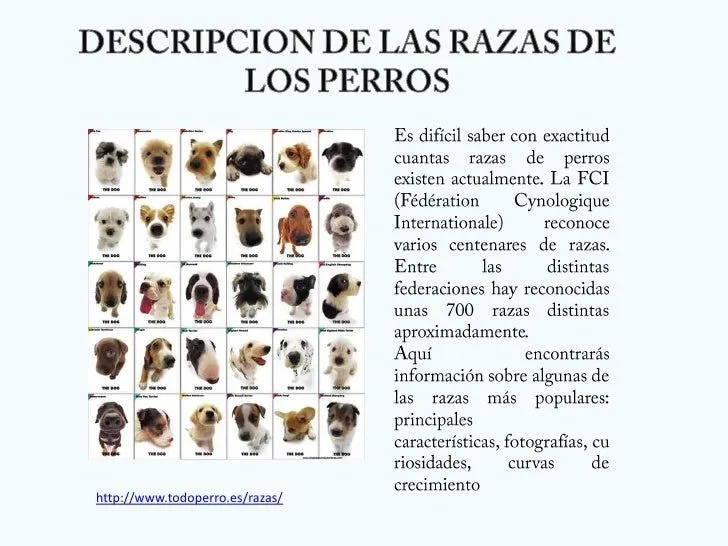 razas-3-728.jpg?cb=1281974833