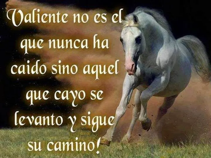 RAZAS DE CABALLOS