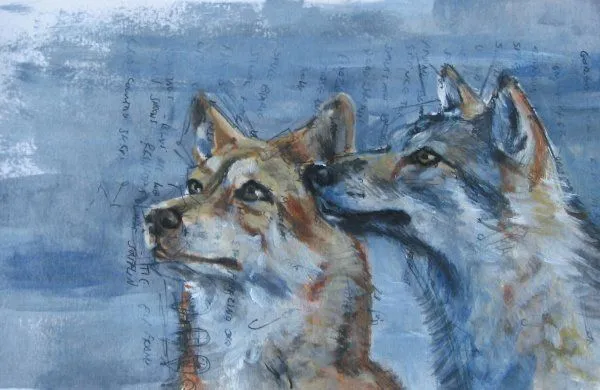 razas de perros: 34-PERRO LOBO DE SAARLOOS