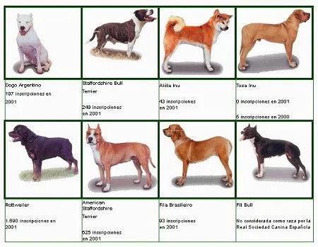 Adiestramiento canino en Masquefa "Los vigilantes del Mas": marzo 2012