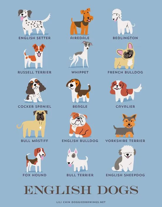 Cuántas razas de perros hay en el mundo? | EROSKI CONSUMER Cuántas razas de perros hay en el mundo? | EROSKI CONSUMER