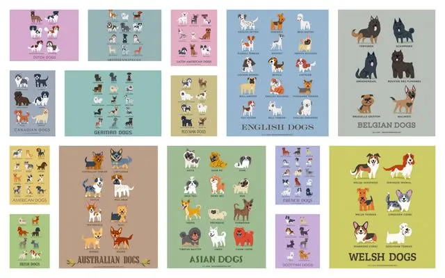 Razas de perros con sus nombres en español - Imagui