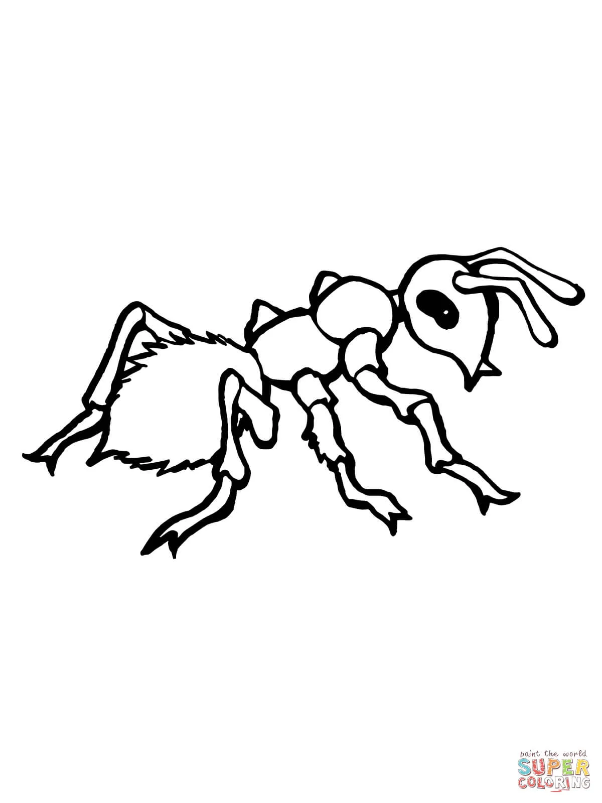 realistic-ant-coloring-page.jpg