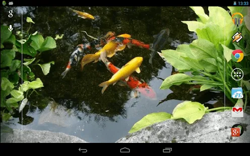 Realistic Koi. Live Wallpaper. - Aplicaciones Android en Google Play