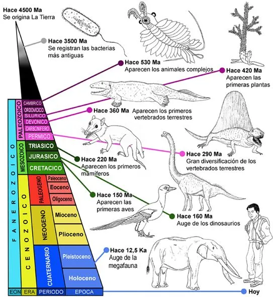 Qué sabemos realmente sobre la antigüedad de la Tierra y de los ...