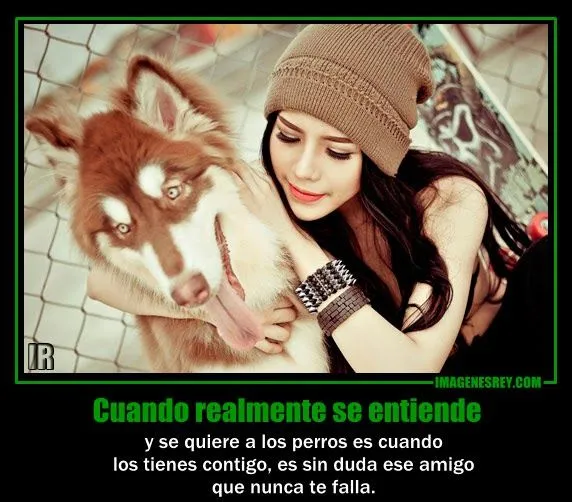 Cuando realmente se entiende y se quiere a los perros es cuando ...