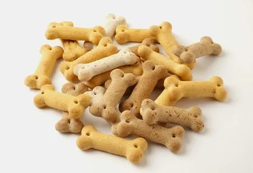 Recetas de galletas para perros, Fáciles! | Seamos Más Animales ...