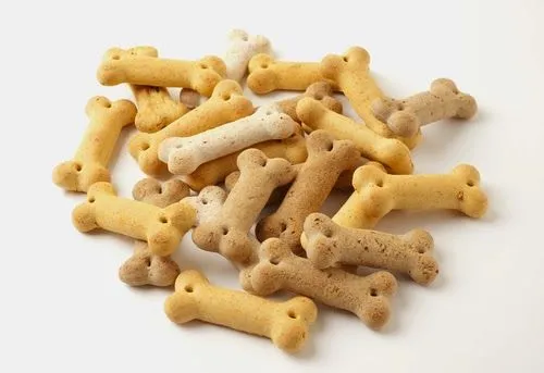 Recetas de galletas para perros, Fáciles! | Seamos Más Animales ... Recetas de galletas para perros, Fáciles! | Seamos Más Animales ...