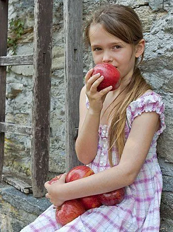 Recetas de manzana para niños, sanas y económicas Recetas de manzana para niños, sanas y económicas