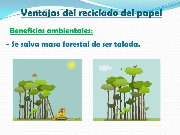 reciclado-de-l-papel-daiana- ...