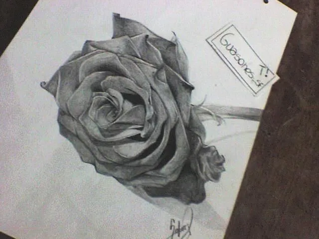 Recien terminado (Dibujo de rosa a lápiz) - Taringa! Recien terminado (Dibujo de rosa a lápiz) - Taringa!