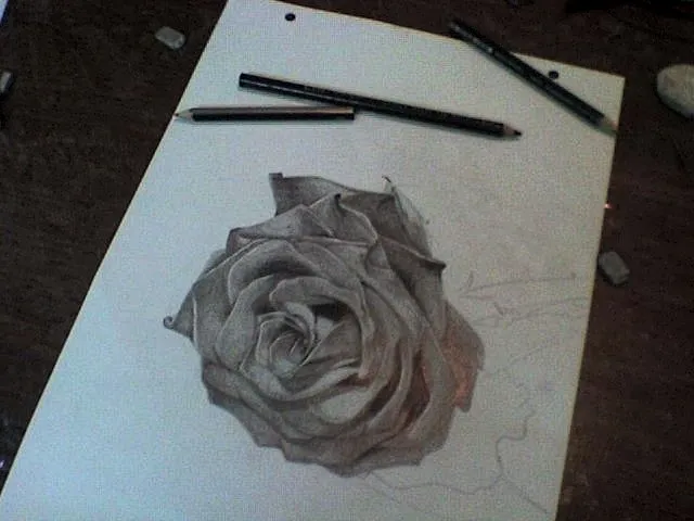 Rosas a lápiz fáciles - Imagui