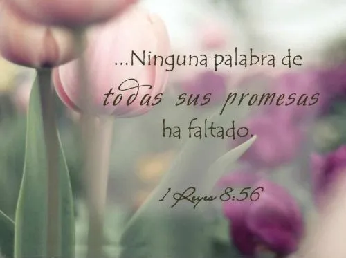 Soy Recipiente De Sus Promesas | Tiempo Con Dios (Pastor Jorge ... Soy Recipiente De Sus Promesas | Tiempo Con Dios (Pastor Jorge ...