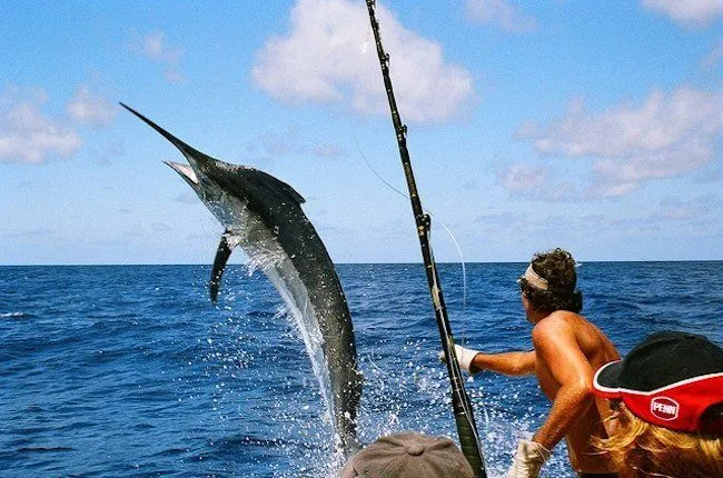 Recomendaciones de consumo de pescado durante la infancia ...