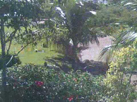 Recordatorio del cabo de año Sra. Gladys Suárez - YouTube Recordatorio del cabo de año Sra. Gladys Suárez - YouTube