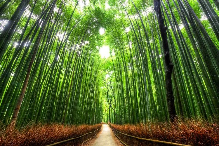 Un recorrido por los paisajes naturales más impresionantes ...