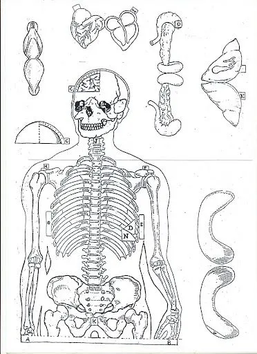 Recortables del cuerpo humano | FICHAS PARA PINTAR | DIBUJOS PARA ... Recortables del cuerpo humano | FICHAS PARA PINTAR | DIBUJOS PARA ...