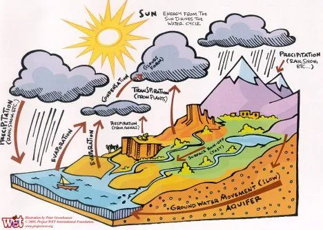 Juniors | RECREA Ecología