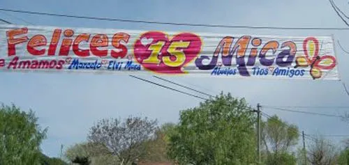 Recuerdan que está prohidido usar árboles para fijar carteles o ...