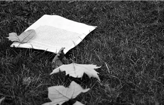Un recuerdo desencadenado | Cinco Centros