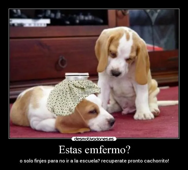 Usuario: lunaroja2000 | Desmotivaciones