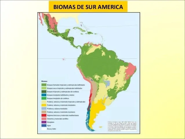 Estado del recurso suelo en Suramérica y experiencias sobre su manejo… Estado del recurso suelo en Suramérica y experiencias sobre su manejo…