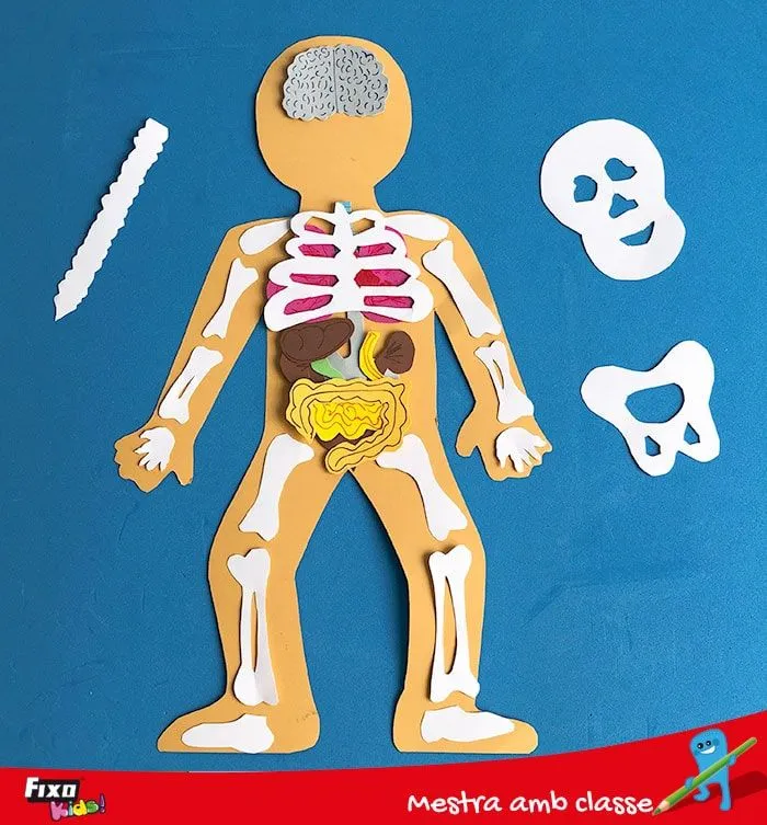 Recursos para aprender jugando | El cuerpo humano | Fixo Kids Recursos para aprender jugando | El cuerpo humano | Fixo Kids