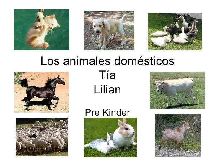 Mis recursos didácticos: Diapositivas en ppt. Los animales domésticos