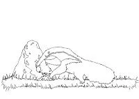 RECURSOS EDUCACION INFANTIL: Dibujos para colorear: OSOS RECURSOS EDUCACION INFANTIL: Dibujos para colorear: OSOS