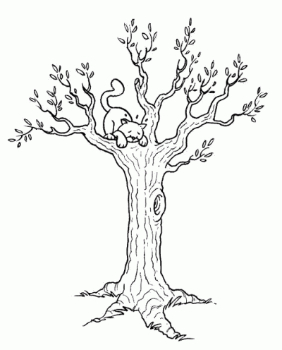 RECURSOS EDUCACION INFANTIL: Dibujos para colorear: ARBOLES DE OTOÑO