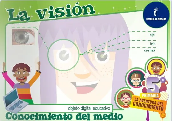 Recursos educativos > Tag > sentido de la vista - Didactalia ...