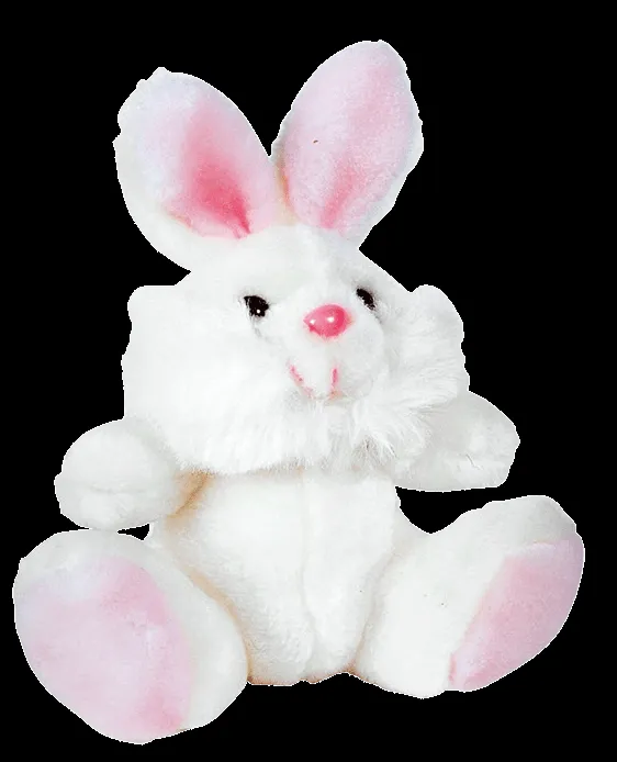 Recursos infantiles: Conejos de peluche PNG Recursos infantiles: Conejos de peluche PNG