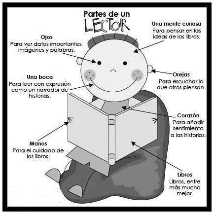 Recursos para maestros de español: Partes de un lector (Imagen ...