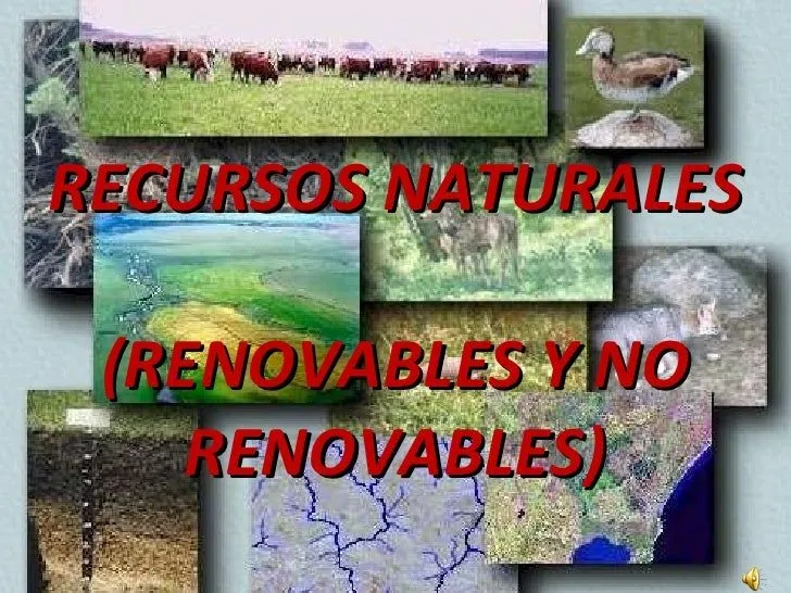 Recursos naturales