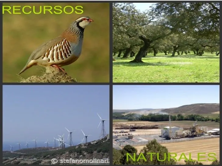 Recursos naturales