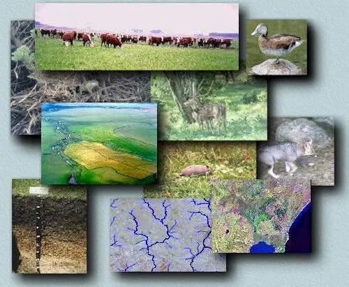 RECURSOS NATURALES | CONCIENCIA ECOLOGICA