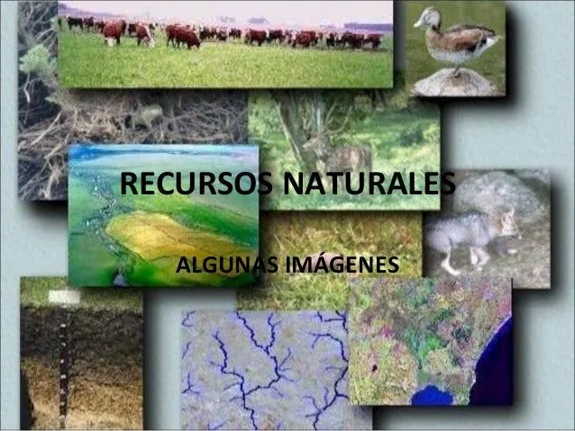 Recursos naturales (imágenes)