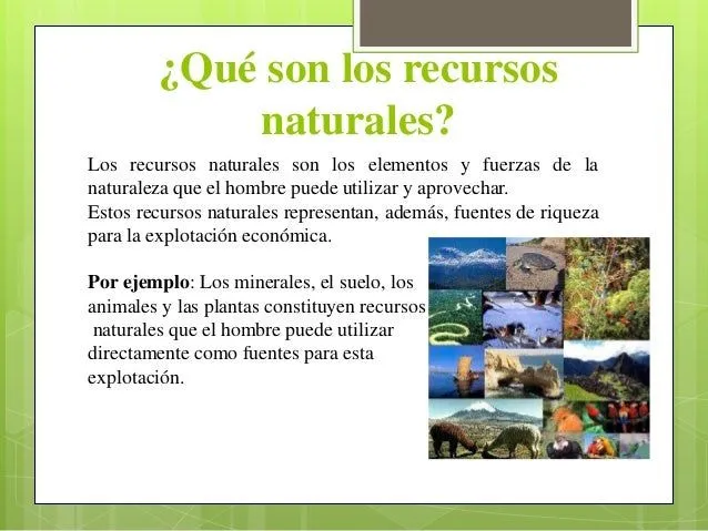 recursos-naturales-renovables- ...