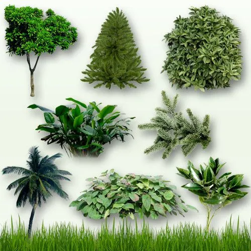 Recursos Photoshop Llanpac: Colecciones de clipart para ...