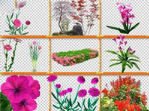 Recursos Photoshop Llanpac: Coleccion de clipart de plantas y ... Recursos Photoshop Llanpac: Coleccion de clipart de plantas y ...