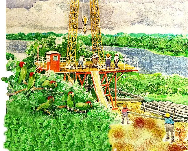 recursos-no-renovables.jpg