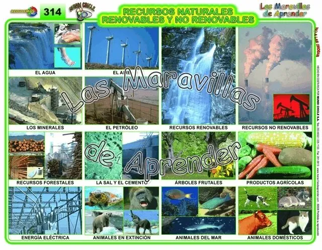 ECOLOGIA Y MEDIO AMBIENTE: RECURSOS RENOVABLES Y NO RENOVABLES