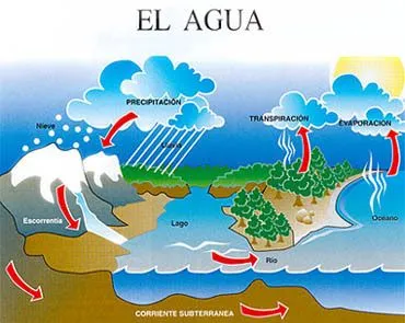Recursos TIC para Educación Infantil y Primaria: El Ciclo del agua ... Recursos TIC para Educación Infantil y Primaria: El Ciclo del agua ...