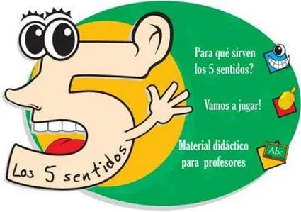 Dibujos sobre los cinco sentidos para primaria - Imagui Dibujos sobre los cinco sentidos para primaria - Imagui