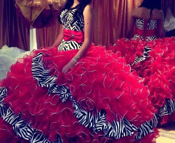 red, clothes, dress, rojo, quinceanera, zebra, quincea os ...