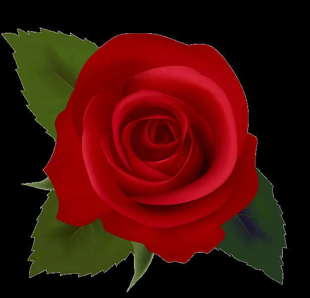 Red Rose - ClipArt Best - ClipArt Best